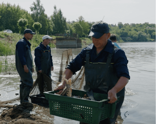 fish-catching